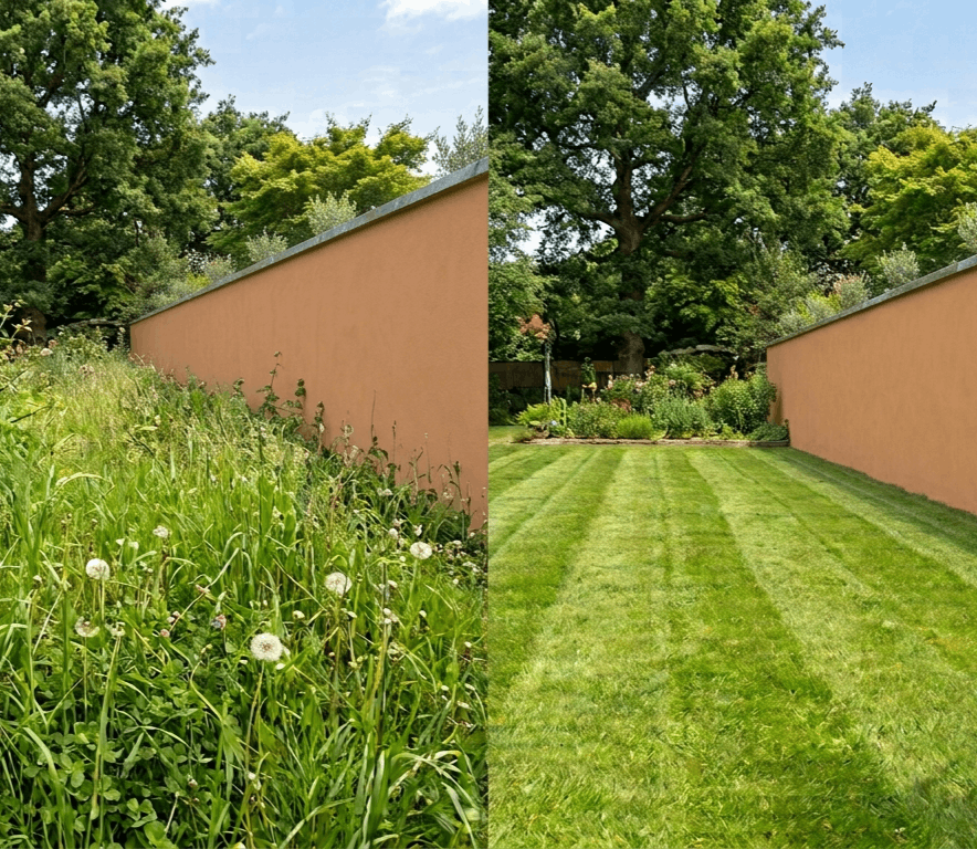 Taglio del prato e cura del giardino